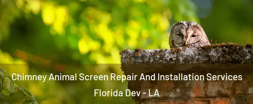 Chimney Animal Screen Repair And Installation Services Florida Dev - LA