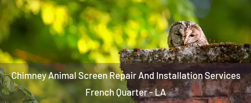 Chimney Animal Screen Repair And Installation Services French Quarter - LA