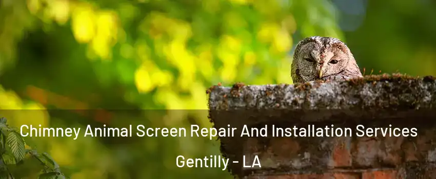 Chimney Animal Screen Repair And Installation Services Gentilly - LA