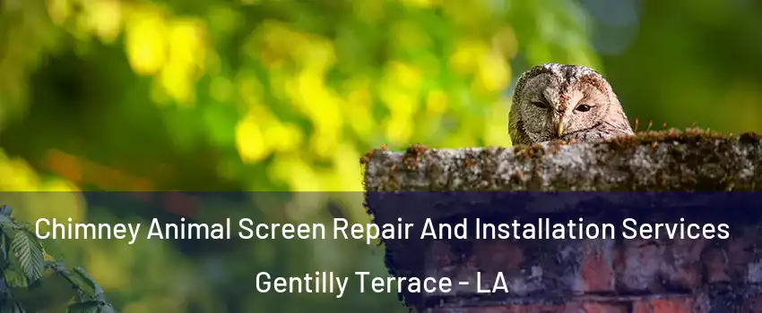 Chimney Animal Screen Repair And Installation Services Gentilly Terrace - LA