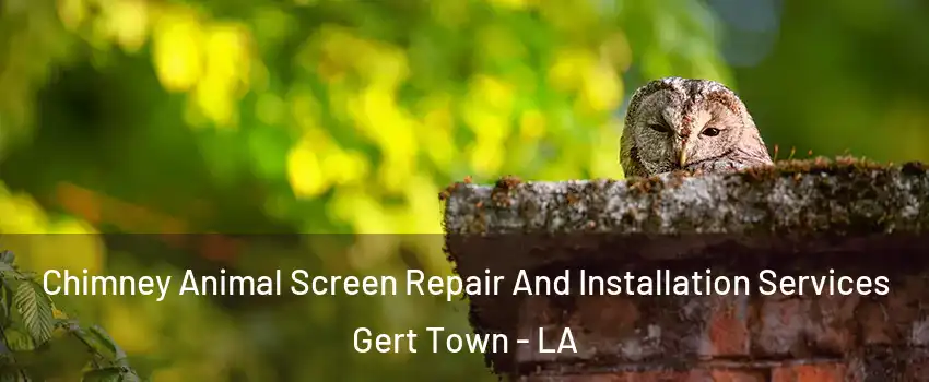 Chimney Animal Screen Repair And Installation Services Gert Town - LA