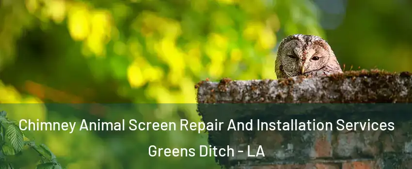 Chimney Animal Screen Repair And Installation Services Greens Ditch - LA