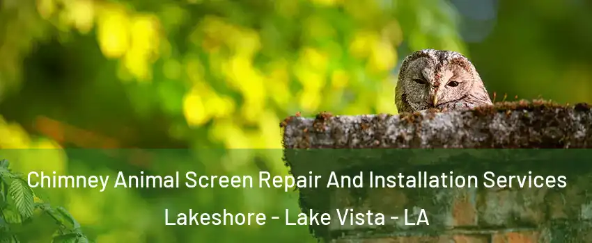 Chimney Animal Screen Repair And Installation Services Lakeshore - Lake Vista - LA