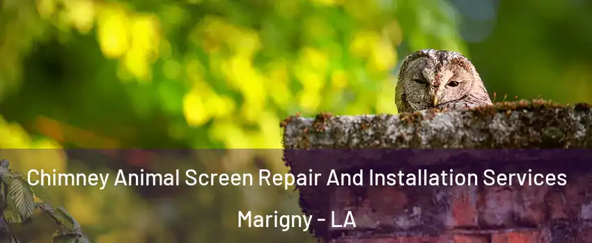 Chimney Animal Screen Repair And Installation Services Marigny - LA