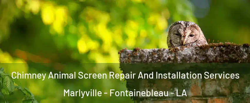 Chimney Animal Screen Repair And Installation Services Marlyville - Fontainebleau - LA