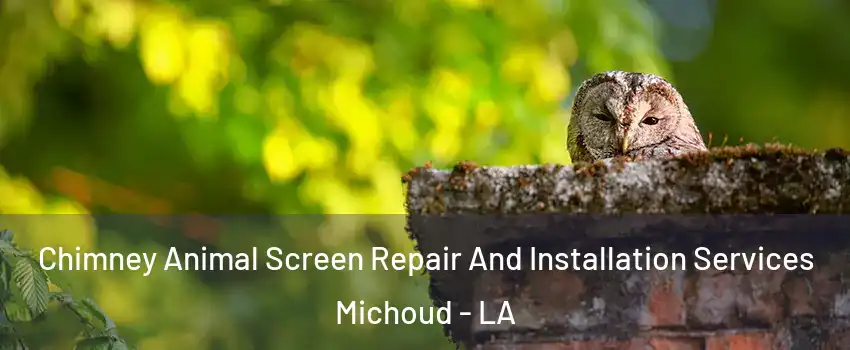 Chimney Animal Screen Repair And Installation Services Michoud - LA