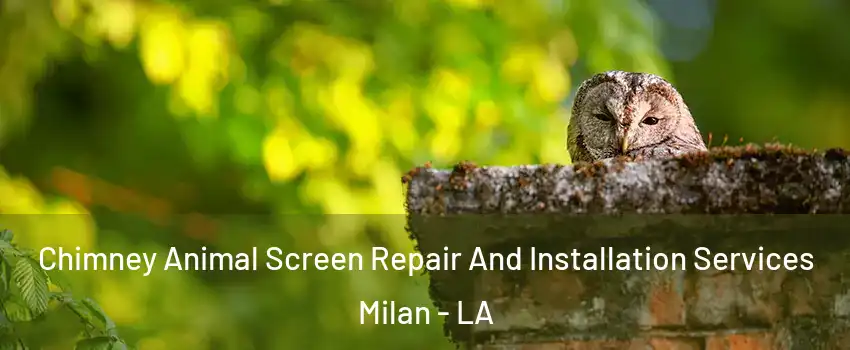 Chimney Animal Screen Repair And Installation Services Milan - LA