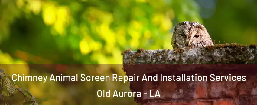 Chimney Animal Screen Repair And Installation Services Old Aurora - LA