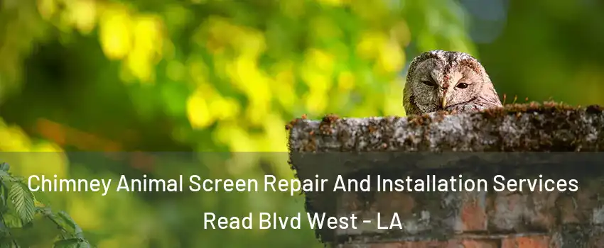 Chimney Animal Screen Repair And Installation Services Read Blvd West - LA