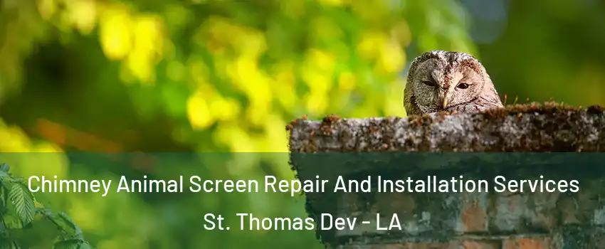 Chimney Animal Screen Repair And Installation Services St. Thomas Dev - LA