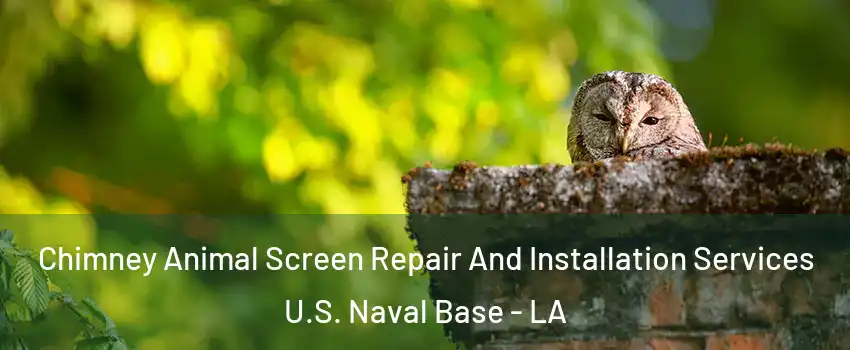 Chimney Animal Screen Repair And Installation Services U.S. Naval Base - LA