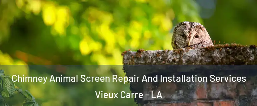 Chimney Animal Screen Repair And Installation Services Vieux Carre - LA