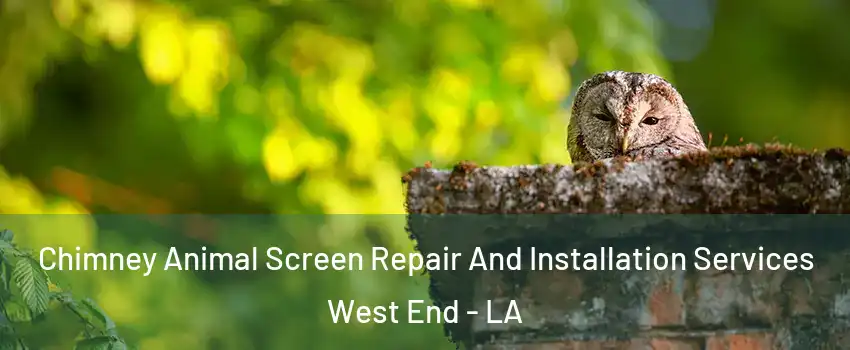 Chimney Animal Screen Repair And Installation Services West End - LA