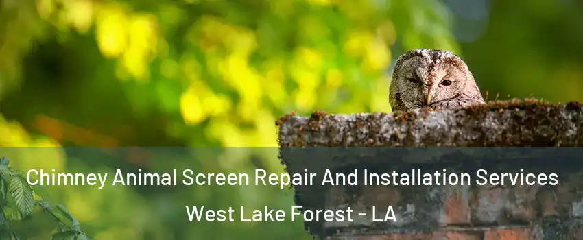 Chimney Animal Screen Repair And Installation Services West Lake Forest - LA