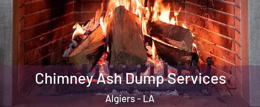 Chimney Ash Dump Services Algiers - LA