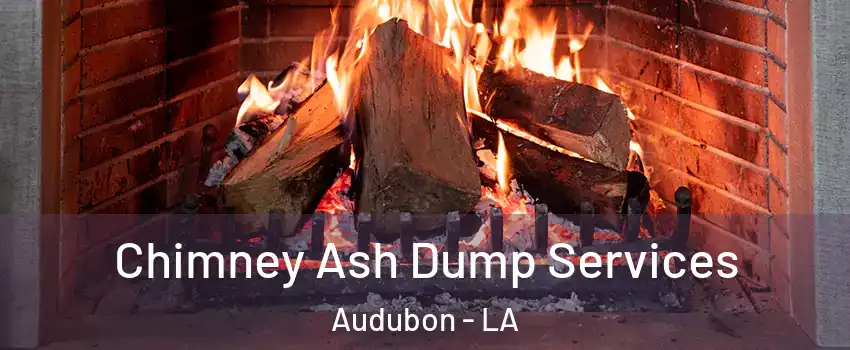 Chimney Ash Dump Services Audubon - LA