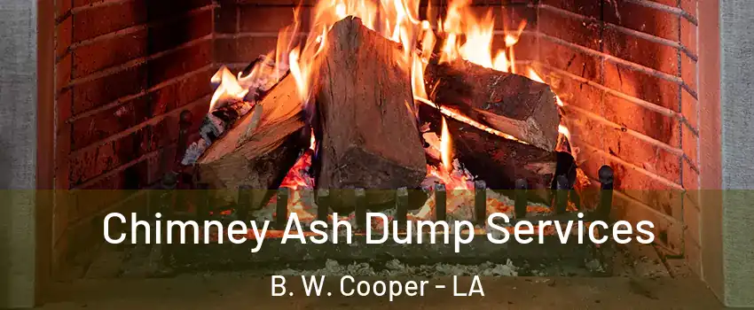 Chimney Ash Dump Services B. W. Cooper - LA