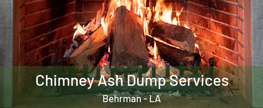 Chimney Ash Dump Services Behrman - LA