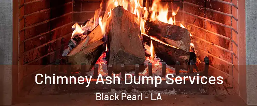 Chimney Ash Dump Services Black Pearl - LA