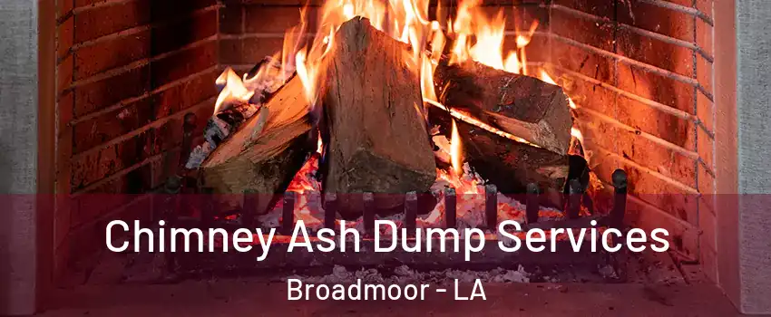 Chimney Ash Dump Services Broadmoor - LA