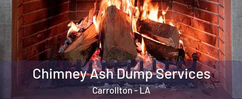 Chimney Ash Dump Services Carrollton - LA