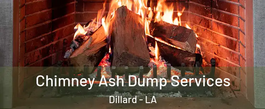 Chimney Ash Dump Services Dillard - LA