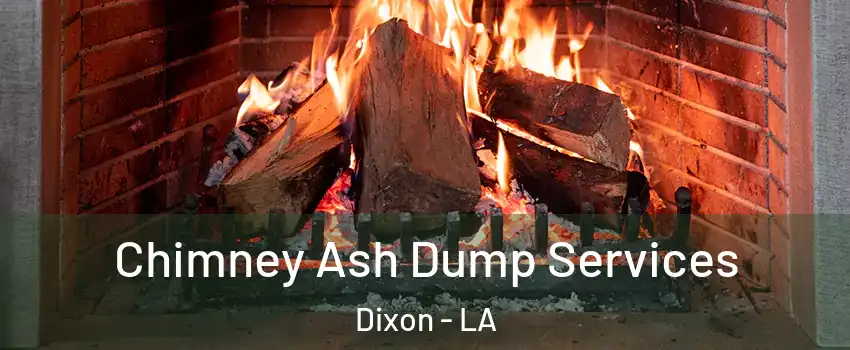 Chimney Ash Dump Services Dixon - LA