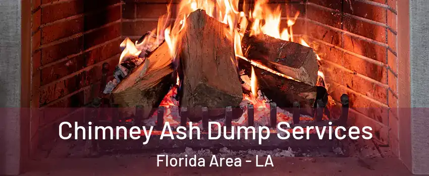 Chimney Ash Dump Services Florida Area - LA