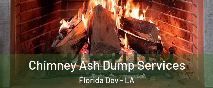 Chimney Ash Dump Services Florida Dev - LA