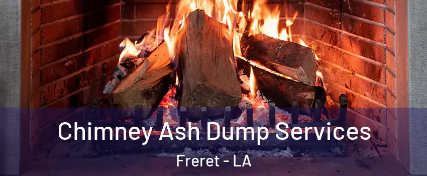 Chimney Ash Dump Services Freret - LA