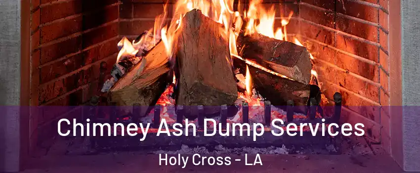 Chimney Ash Dump Services Holy Cross - LA