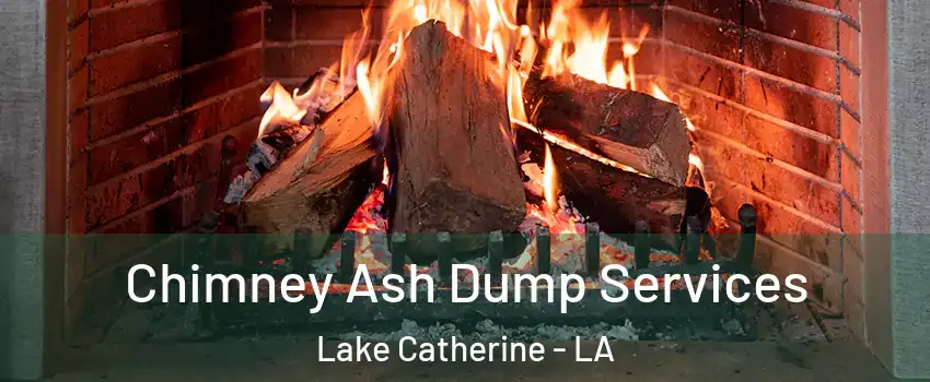 Chimney Ash Dump Services Lake Catherine - LA