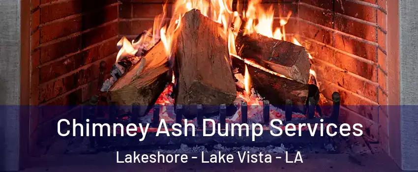 Chimney Ash Dump Services Lakeshore - Lake Vista - LA