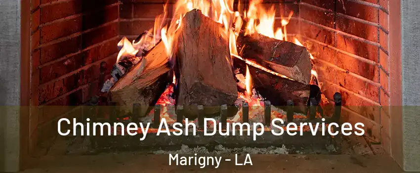 Chimney Ash Dump Services Marigny - LA