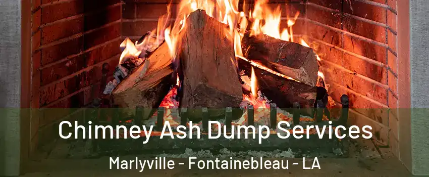 Chimney Ash Dump Services Marlyville - Fontainebleau - LA