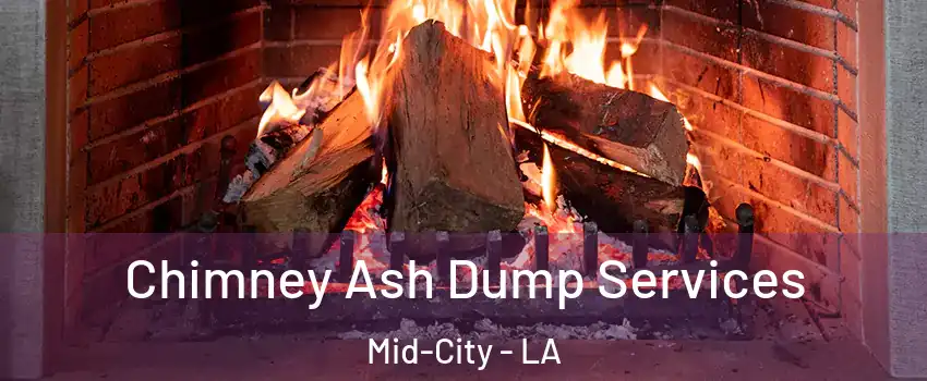 Chimney Ash Dump Services Mid-City - LA