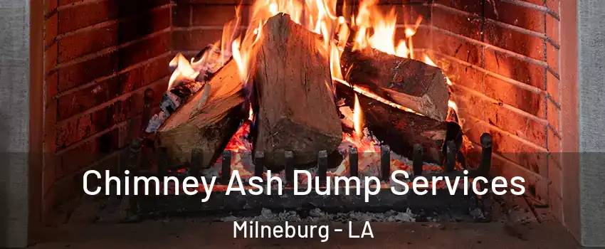 Chimney Ash Dump Services Milneburg - LA