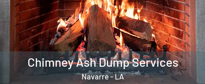 Chimney Ash Dump Services Navarre - LA