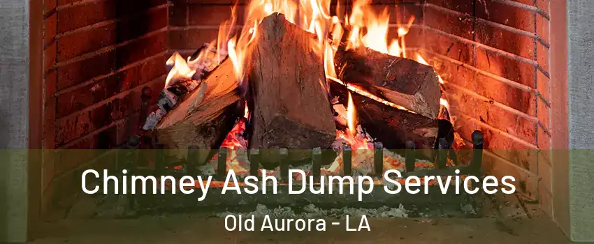 Chimney Ash Dump Services Old Aurora - LA