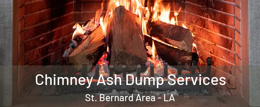 Chimney Ash Dump Services St. Bernard Area - LA