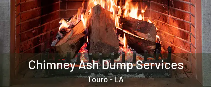 Chimney Ash Dump Services Touro - LA