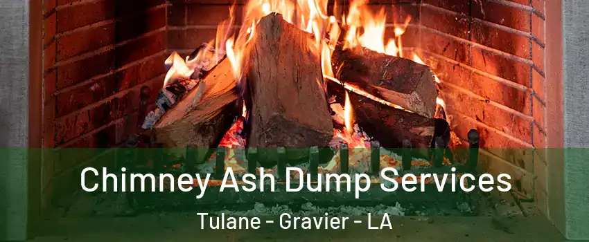 Chimney Ash Dump Services Tulane - Gravier - LA