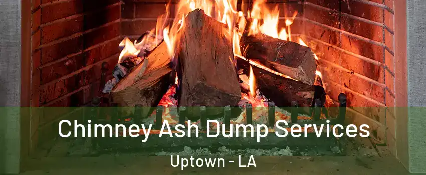 Chimney Ash Dump Services Uptown - LA