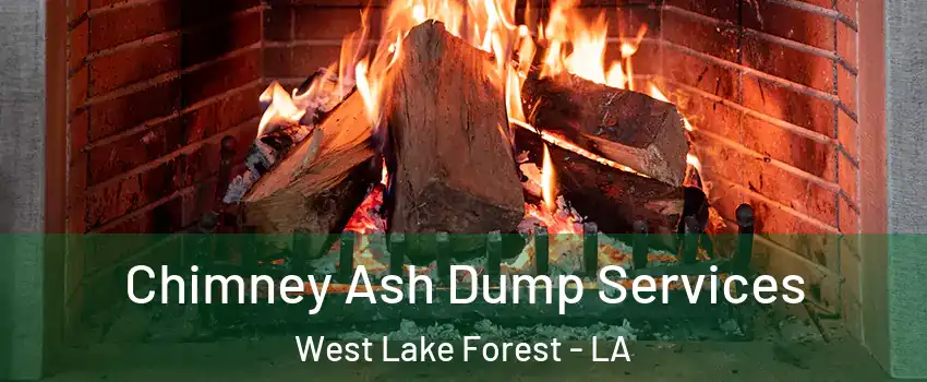 Chimney Ash Dump Services West Lake Forest - LA