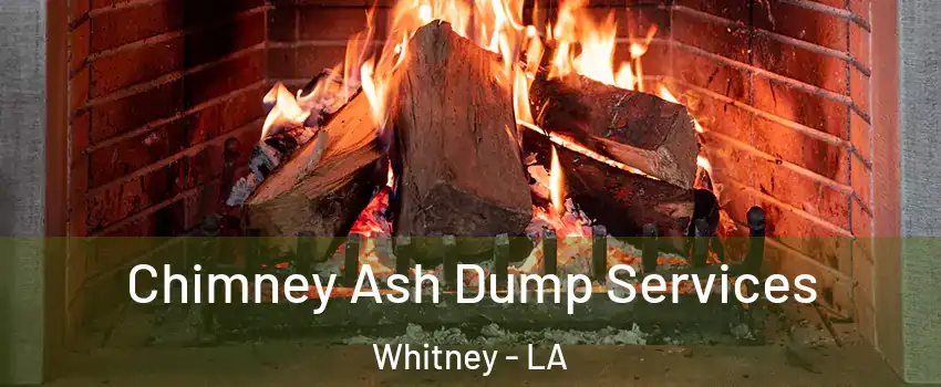 Chimney Ash Dump Services Whitney - LA