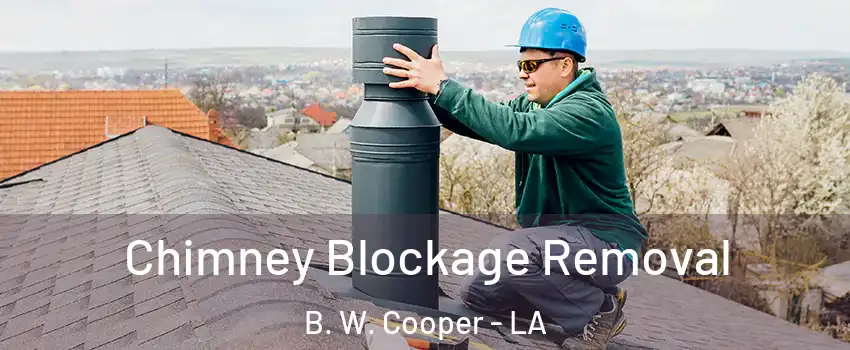 Chimney Blockage Removal B. W. Cooper - LA