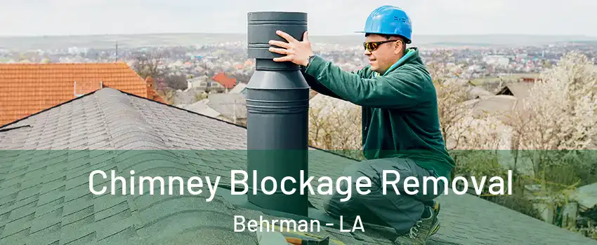 Chimney Blockage Removal Behrman - LA