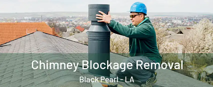 Chimney Blockage Removal Black Pearl - LA