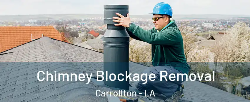 Chimney Blockage Removal Carrollton - LA