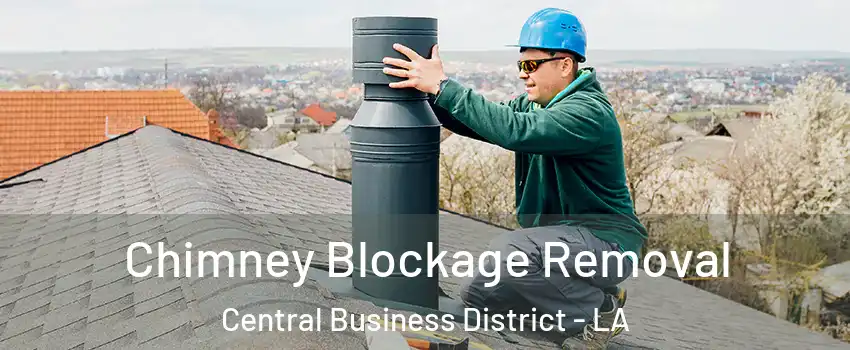 Chimney Blockage Removal Central Business District - LA